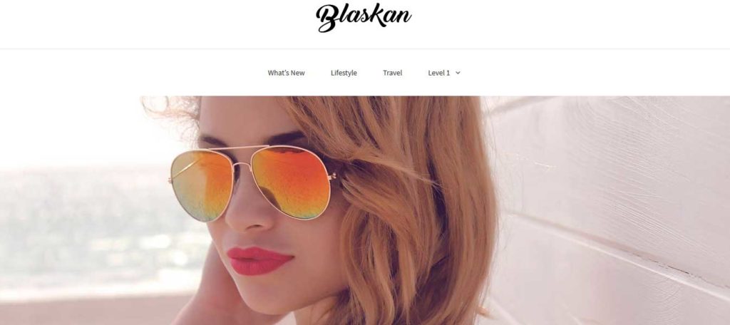 blaskan : Thème wordpress gratuit responsive pour site d'entreprise