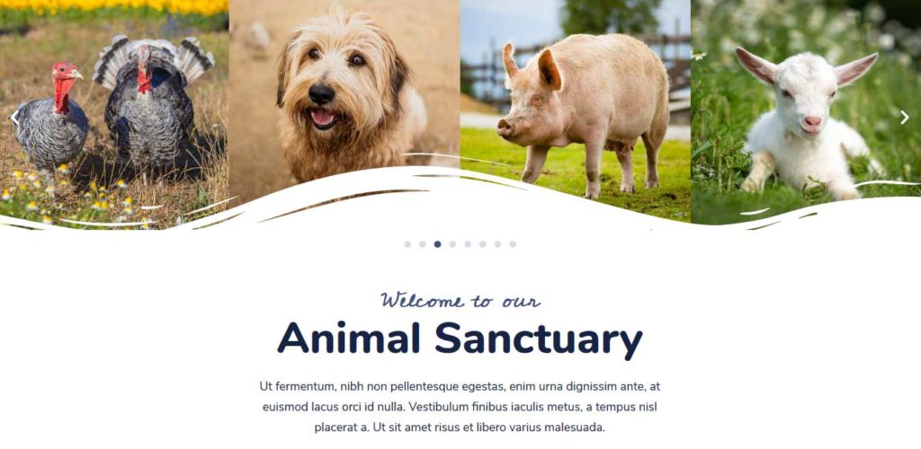 animal sanctuary : animals care wordpress themes
