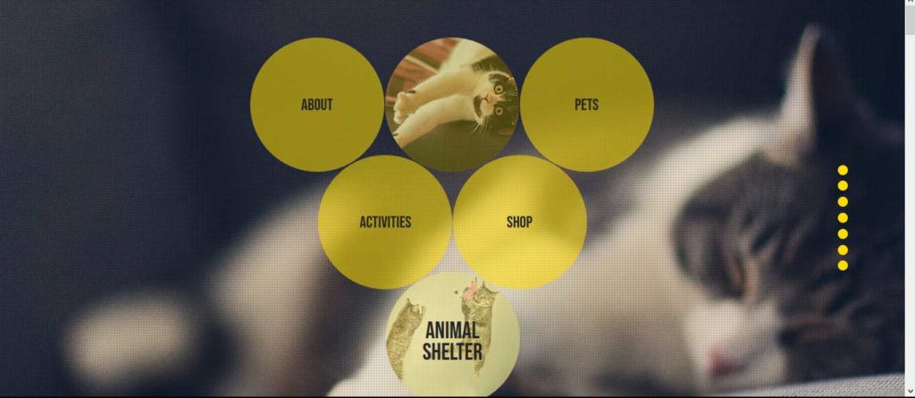 animal shelter : animal wordpress theme