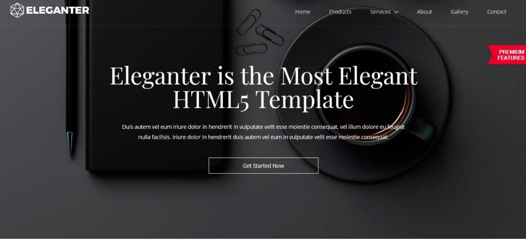 Eleganter : Thème html css responsive