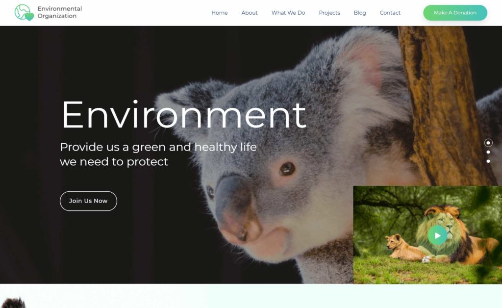 Environmental Organisation : thèmes gratuits pour site d’association