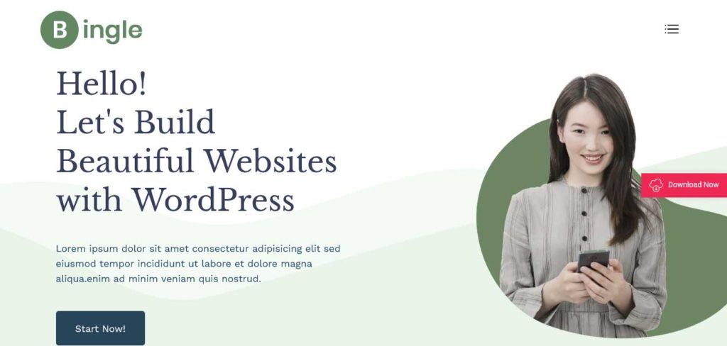 bingle : thèmes WordPress gratuits pour agence web