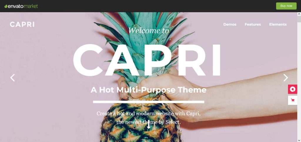 capri : thèmes WordPress polyvalents