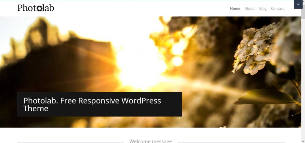 photolab : free wordpress themes for photographers