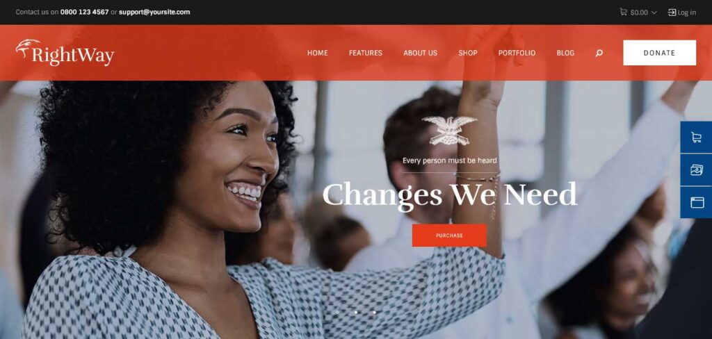 right way : wordpress themes for government website