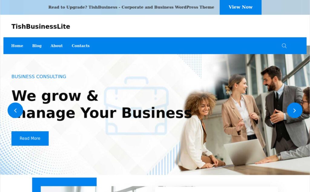 TishBusinessLite free wordpress themes for business