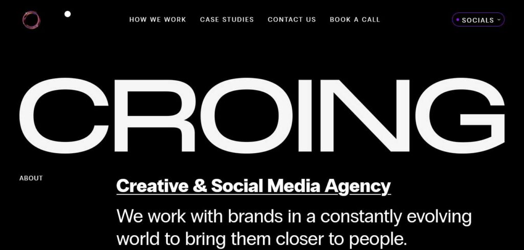 croing agency: animation website