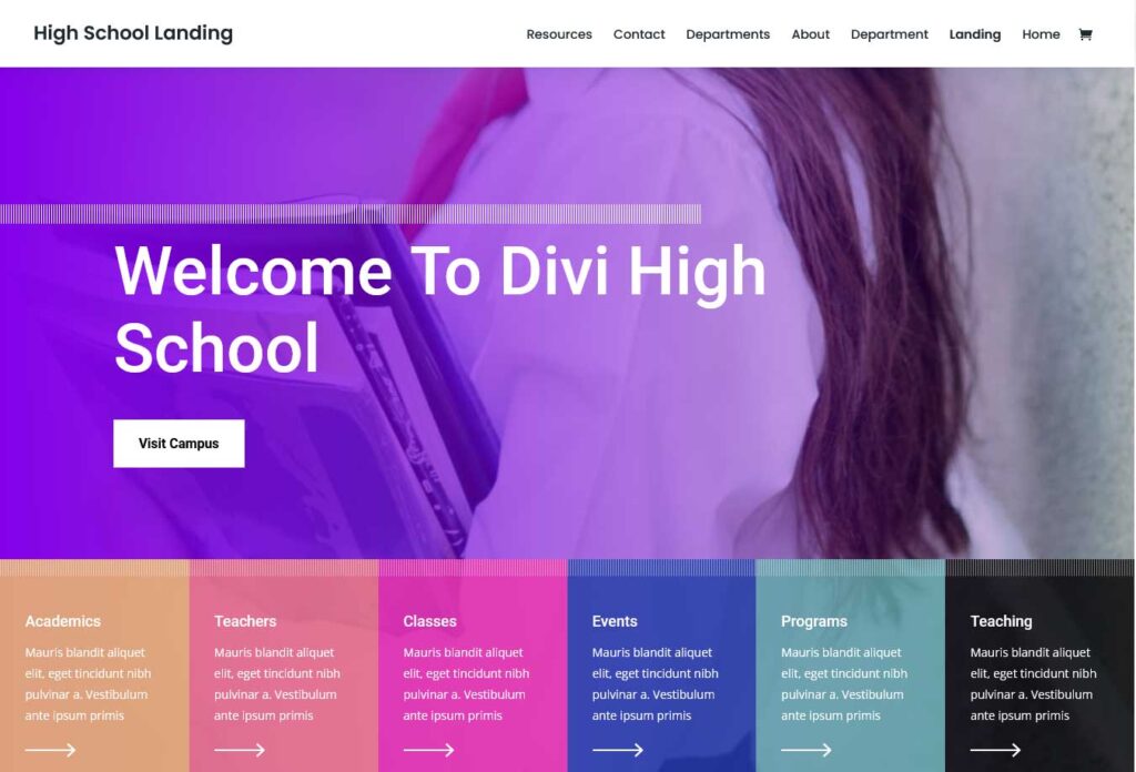 Divi: Divi School website template