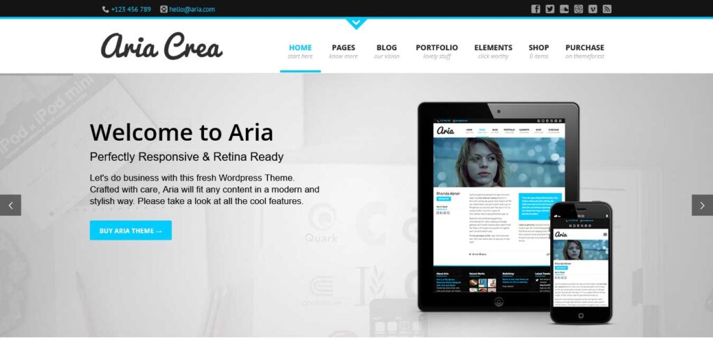 aria: business wordpress theme
