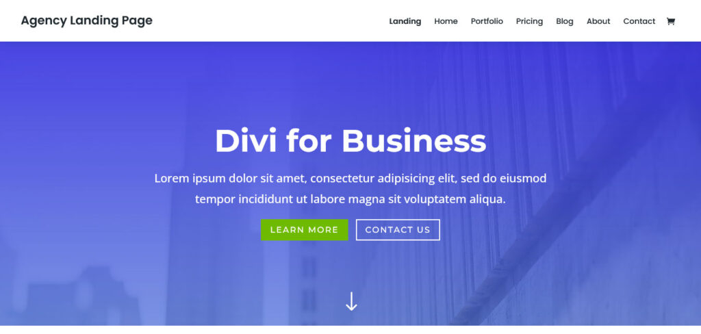 divi wordpress business theme