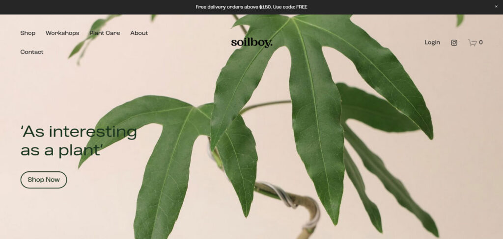 soilboy: business website