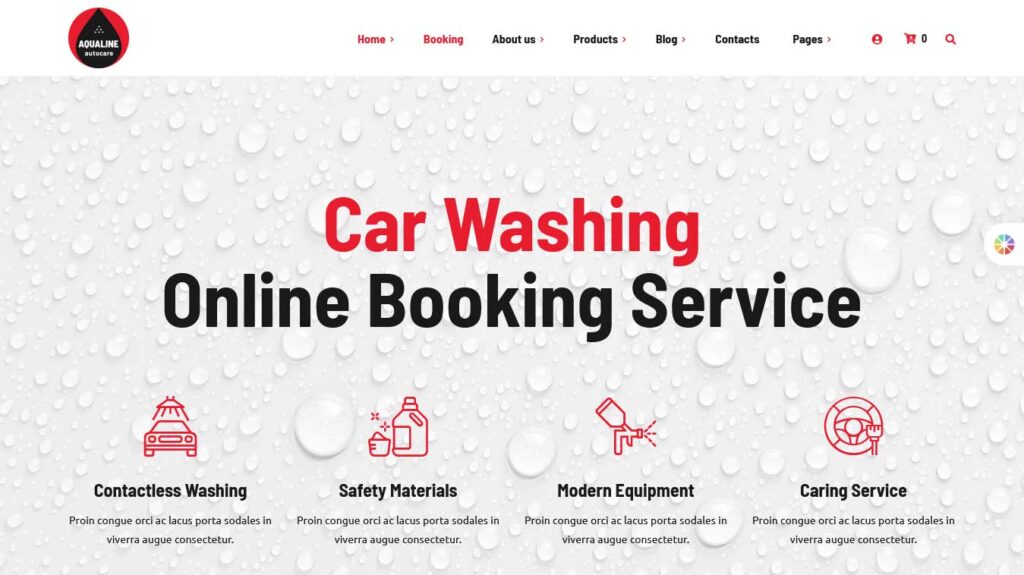 aqualine car washing  booking wordpress theme