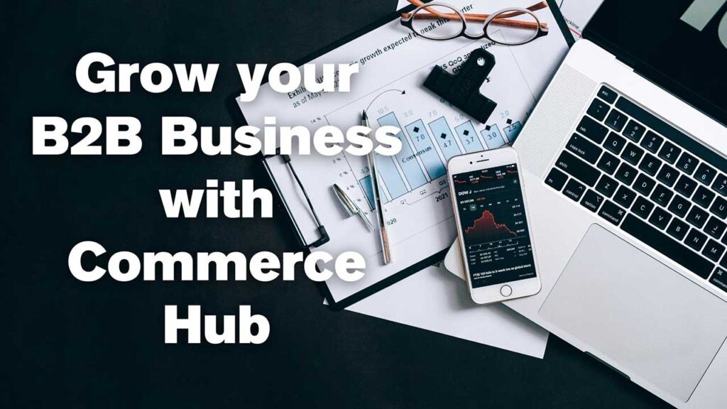 how to grow b2b business with commerce hub