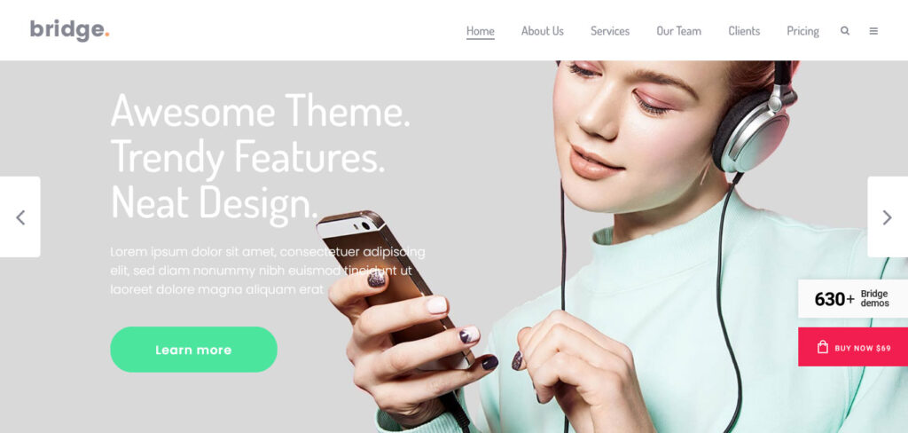 Bridge WordPress landing page template