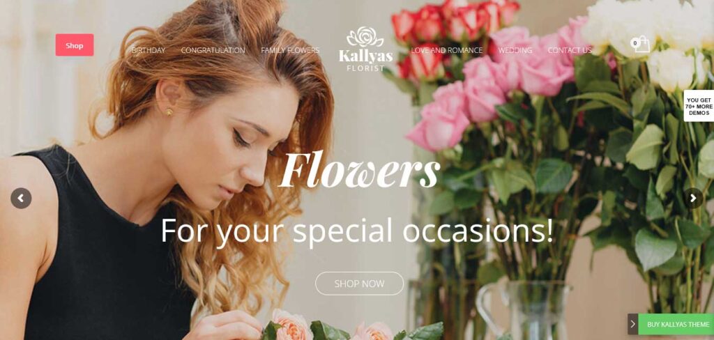 kallyas sales page WordPress theme