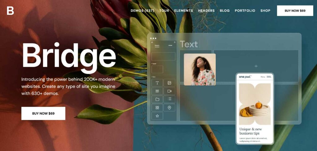 bridge fastest WordPress theme