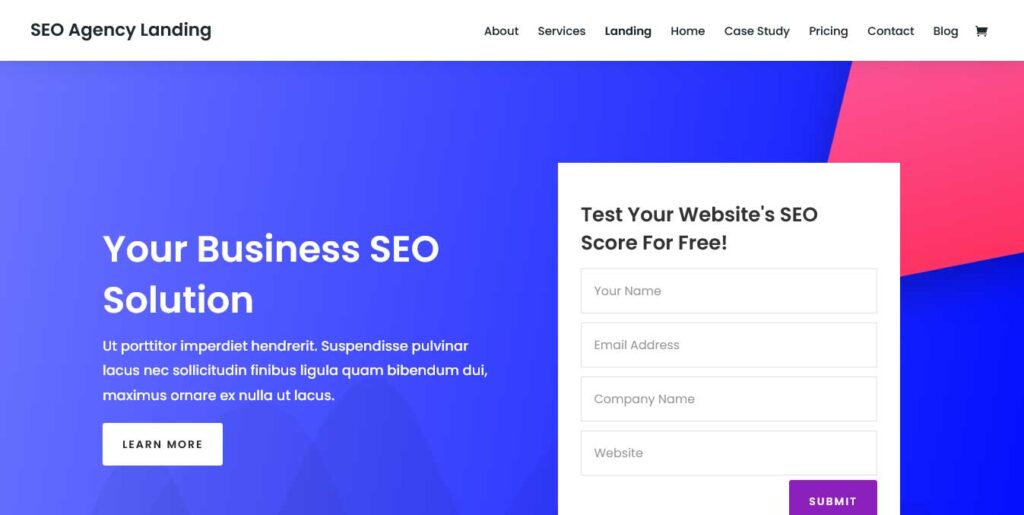 divi seo wordpress theme