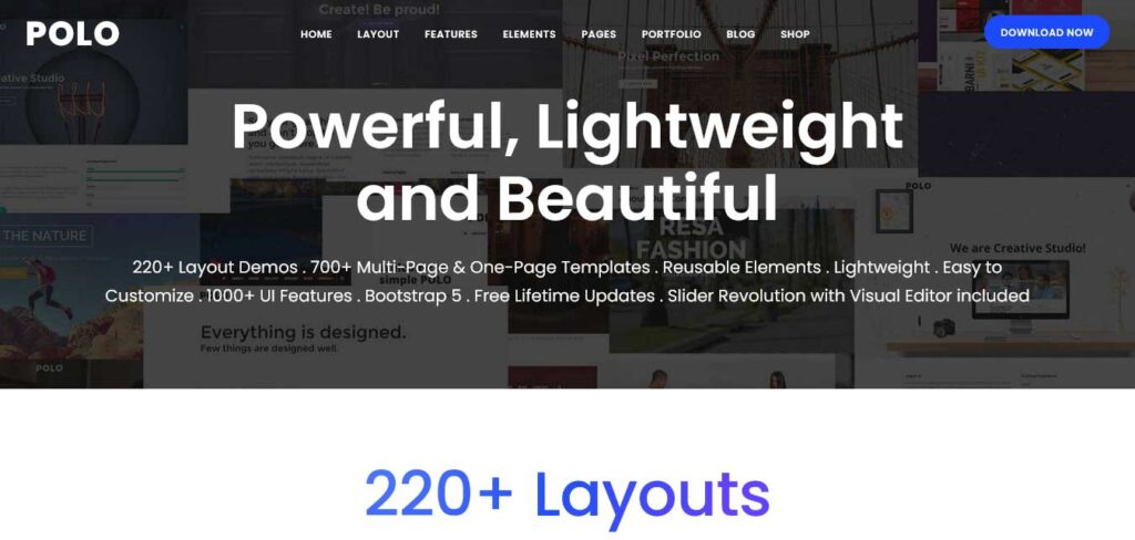 Polo Bootstrap template