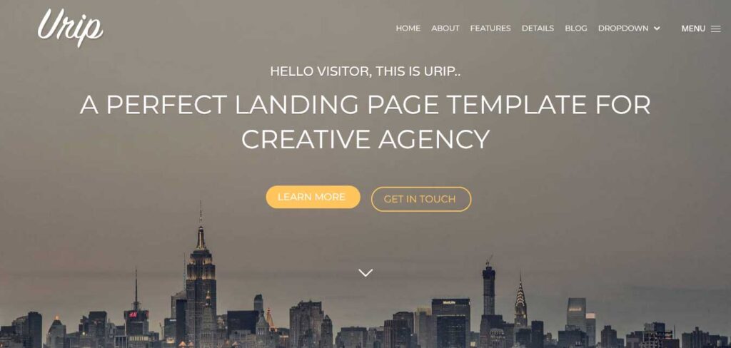 Urip lead generation WordPress theme